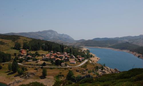 Alba de los Cardaños