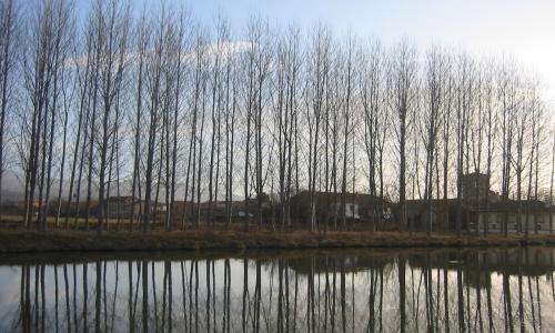 #15 BTT Salinas De Pisuerga