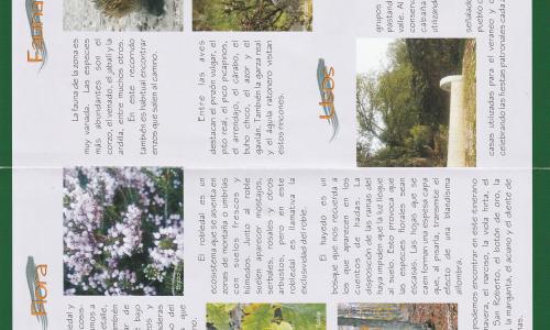 Valcobero, el Bardal y el hayedo de Otero