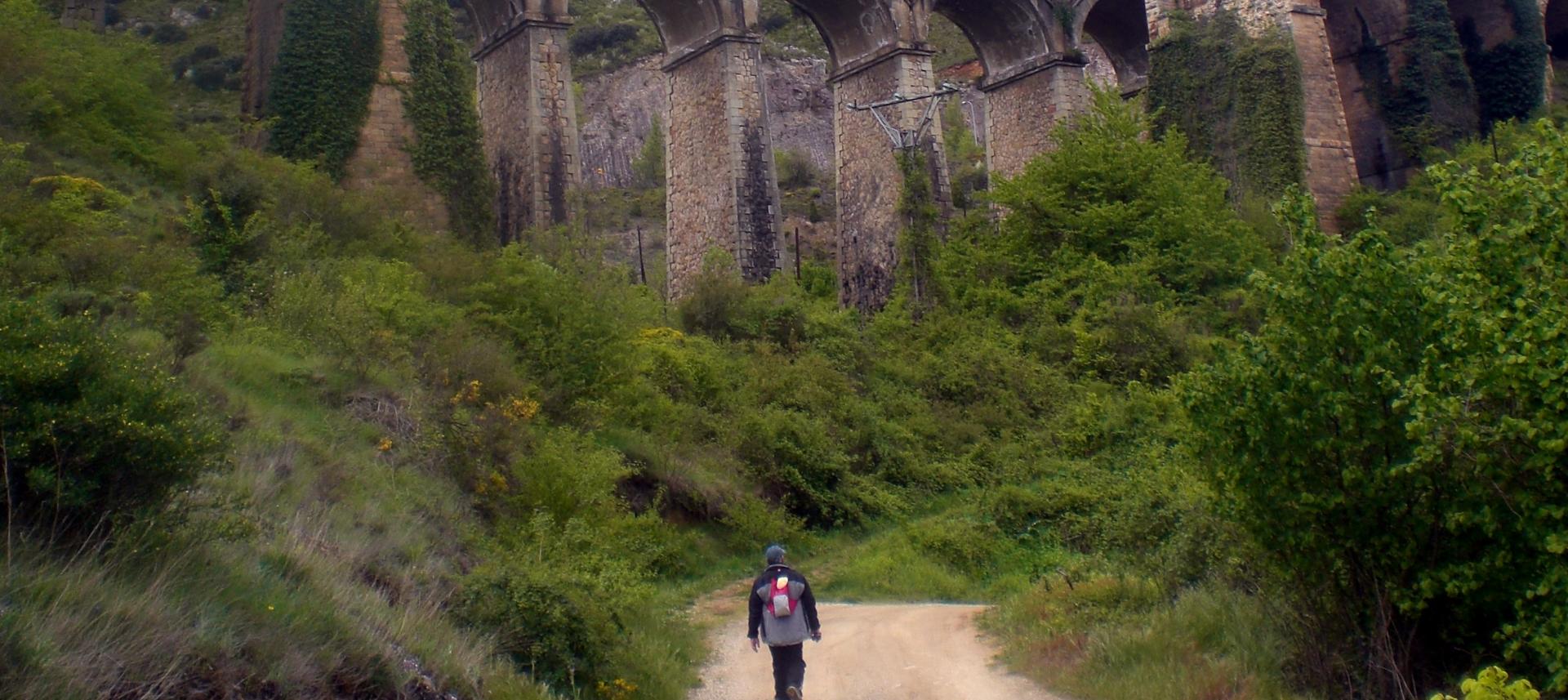 Camino