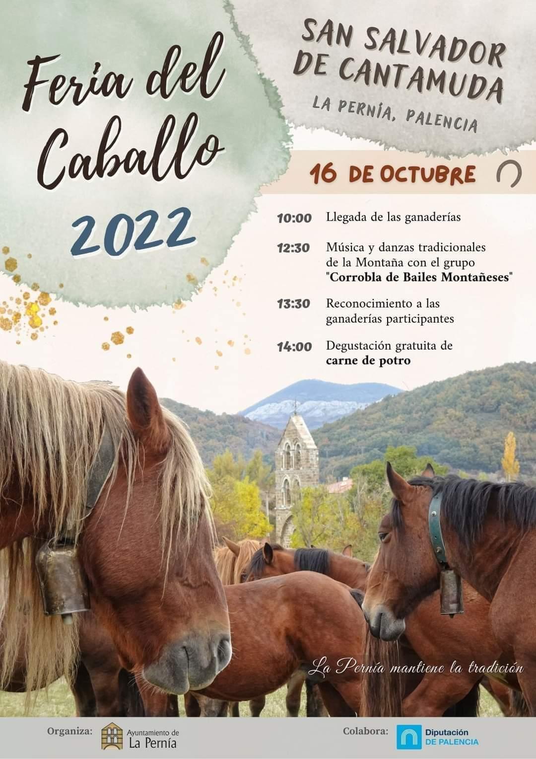 Feria del Caballo0