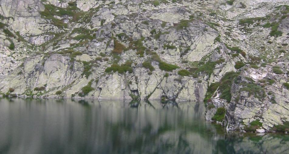 Laguna de las Lomas
